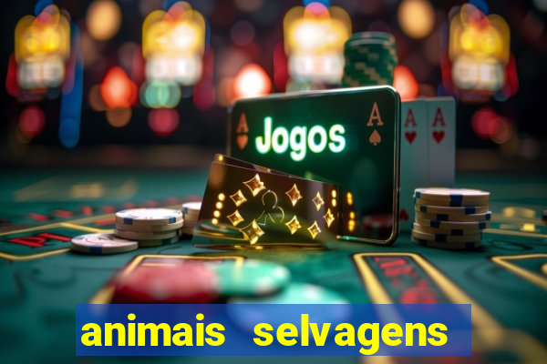 animais selvagens fotos e nomes